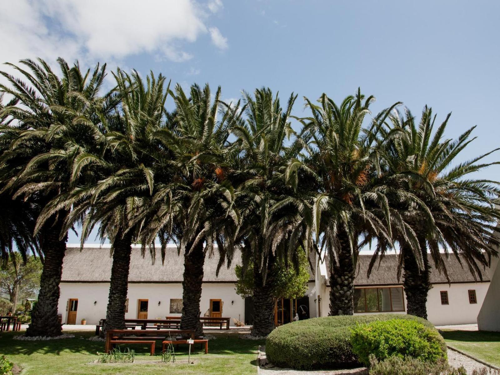 Отель Springfontein Wine Estate Станфорд Экстерьер фото