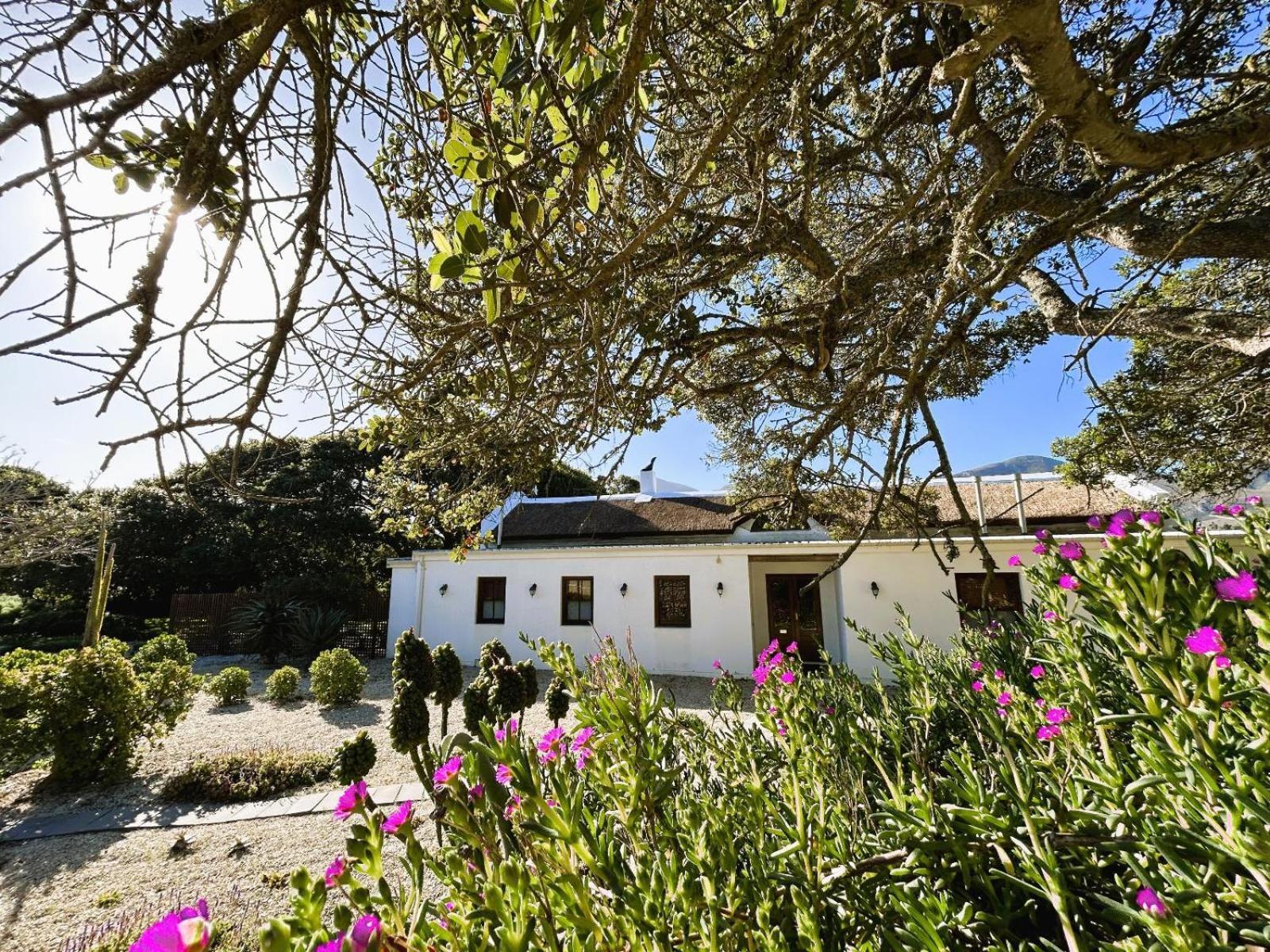 Отель Springfontein Wine Estate Станфорд Экстерьер фото